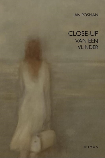 Afbeelding van Close-up van een vlinder