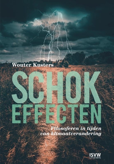 Afbeelding van Schokeffecten