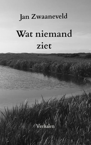 Afbeelding van Wat niemand ziet