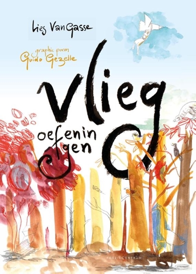 Afbeelding van Vliegoefeningen