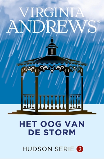 Afbeelding van Hudson Het oog van de storm