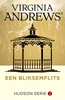 Afbeelding van Hudson Een bliksemflits