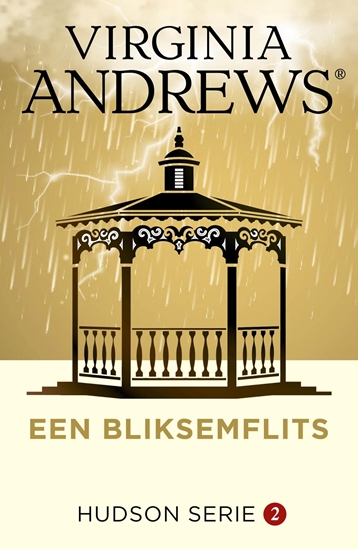 Afbeelding van Hudson Een bliksemflits