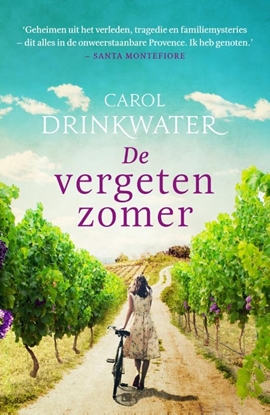 Afbeeldingen van De vergeten zomer