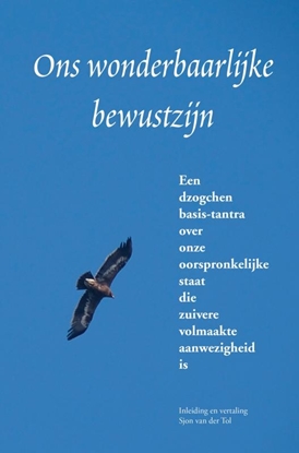 Afbeeldingen van Ons wonderbaarlijke bewustzijn