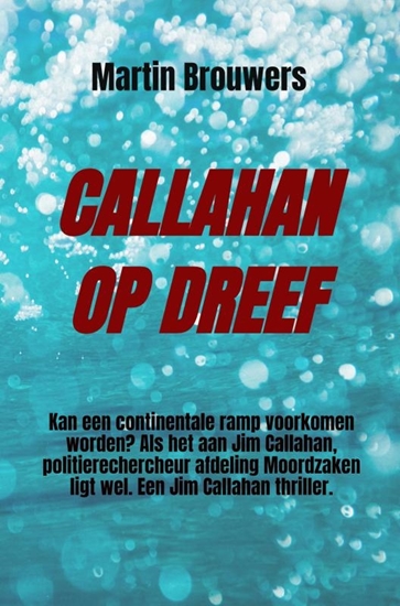 Afbeelding van CALLAHAN OP DREEF