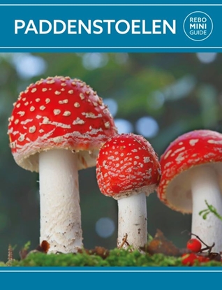 Afbeeldingen van Paddenstoelen - Rebo mini guide