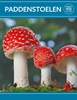 Afbeelding van Paddenstoelen - Rebo mini guide