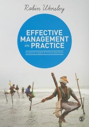 Afbeeldingen van Effective Management in Practice: Analytical Insights and Critical Questions