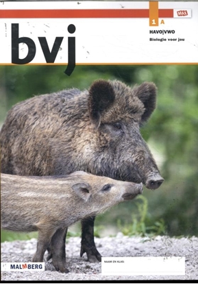 Afbeeldingen van Biologie voor jou leerjaar 1 havo-vwo Leeropdrachtenboek A