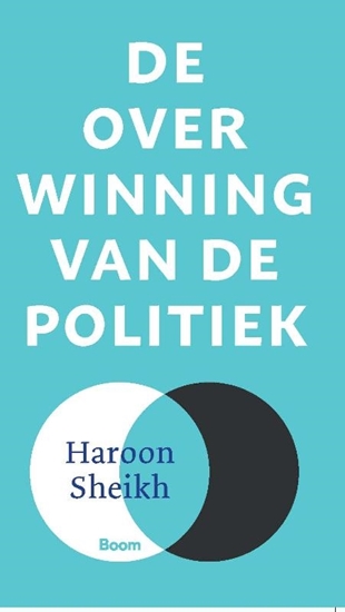 Afbeelding van De overwinning van de politiek