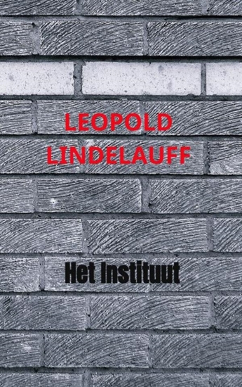 Afbeelding van Het Instituut