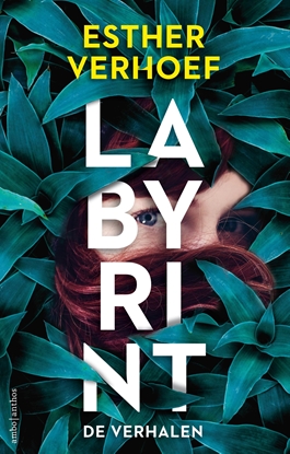 Afbeeldingen van Labyrint - De verhalen