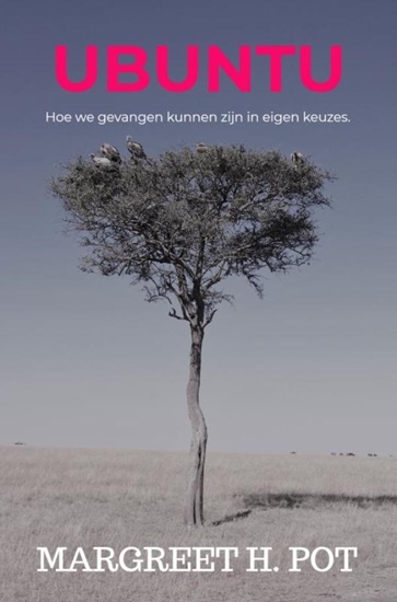 Afbeelding van Ubuntu