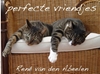 Afbeelding van perfecte vriendjes