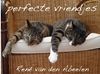 Afbeelding van perfecte vriendjes