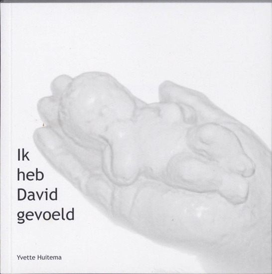 Afbeelding van Ik heb David gevoeld