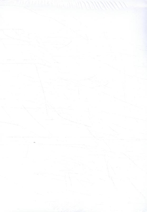 Afbeeldingen van De Wiskanjers 2 Wandplaten