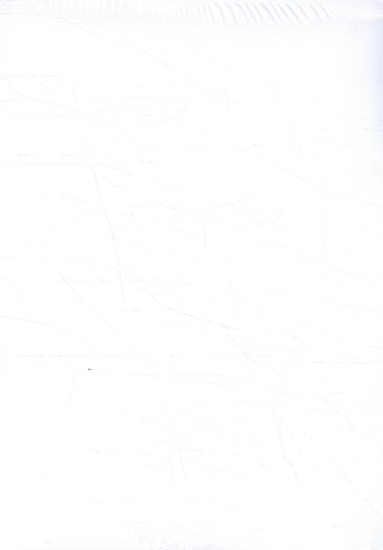 Afbeelding van De Wiskanjers 2 Wandplaten