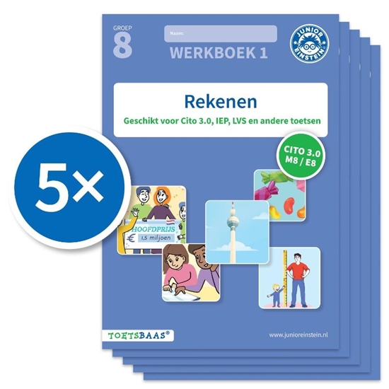 Afbeelding van Toetsbaas Rekenen werkboek 1 (Set van 5)