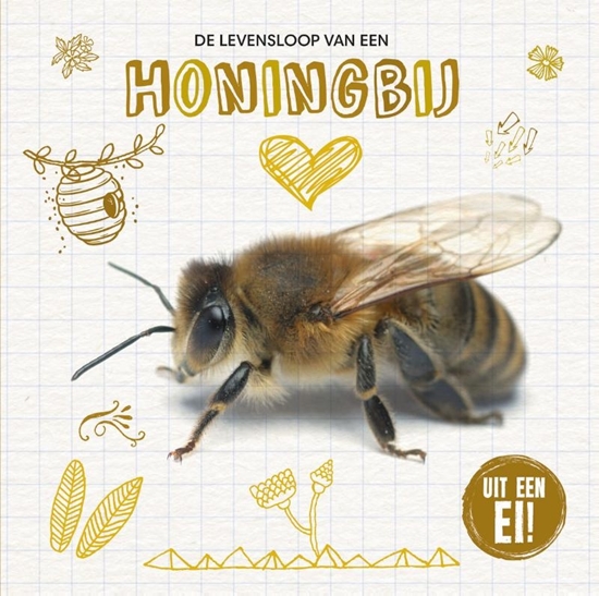 Afbeelding van Uit een ei! De levensloop van de honingbij