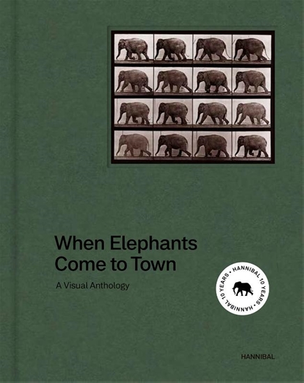 Afbeelding van When Elephant Come to Town