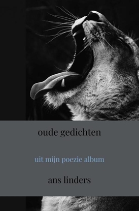 Afbeeldingen van oude gedichten