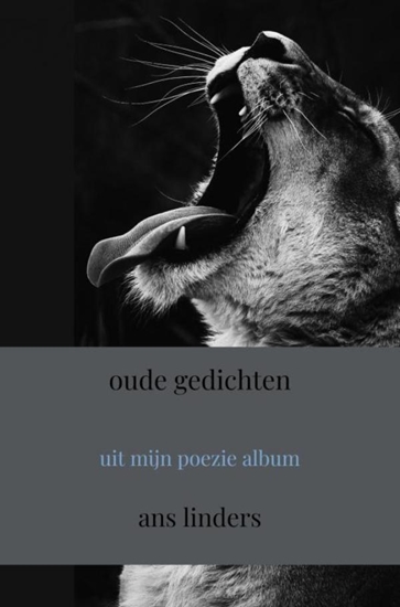 Afbeelding van oude gedichten