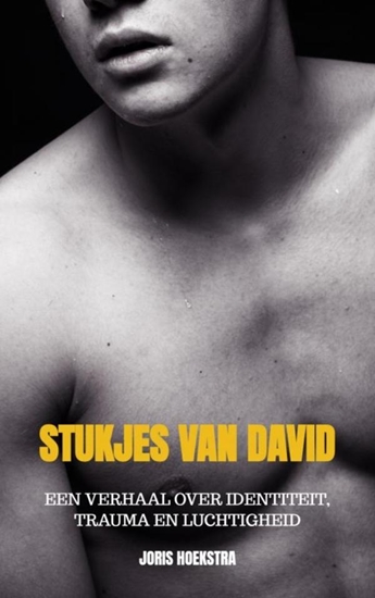 Afbeelding van Stukjes van David