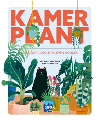 Afbeeldingen van Kamerplant