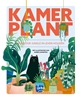 Afbeelding van Kamerplant