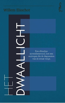 Afbeeldingen van Salamander Het dwaallicht