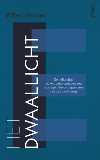Afbeelding van Salamander Het dwaallicht