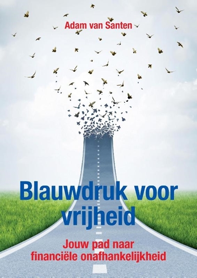 Afbeelding van Blauwdruk voor vrijheid
