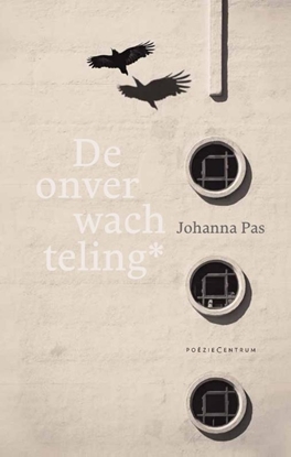 Afbeeldingen van De onverwachteling*