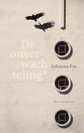 Afbeelding van De onverwachteling*