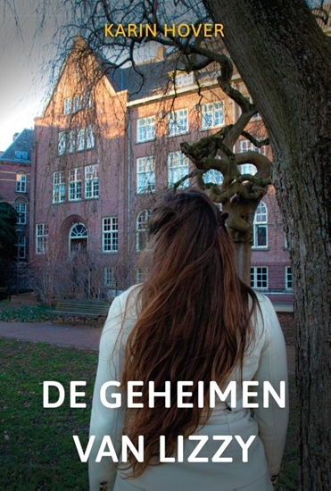 Afbeelding van De geheimen van Lizzy