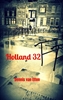 Afbeelding van Holland 32
