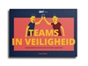 Afbeelding van Teams in Veiligheid