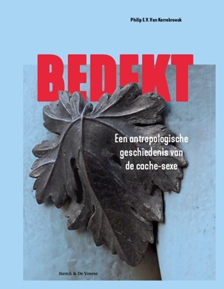 Afbeeldingen van Bedekt