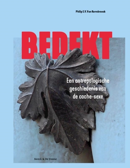 Afbeelding van Bedekt