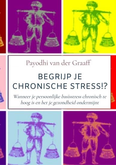 Afbeelding van Begrijp Je Chronische Stress!?