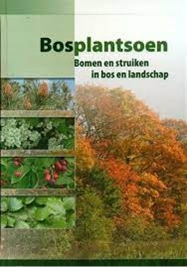 Afbeelding van Bosplantsoen