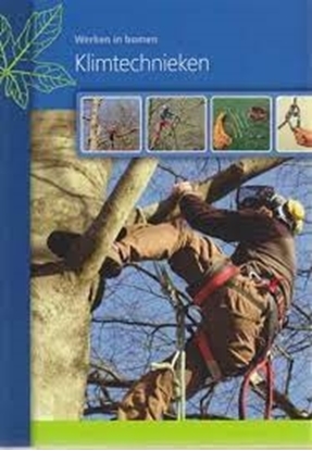 Afbeeldingen van Werken in bomen Klimtechnieken