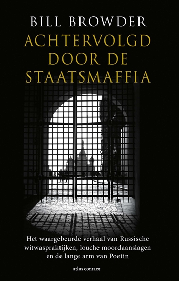 Afbeelding van Achtervolgd door de staatsmaffia