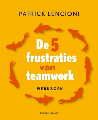 Afbeeldingen van De 5 frustraties van teamwork - werkboek