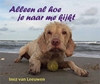 Afbeelding van Alleen al hoe je naar me kijkt