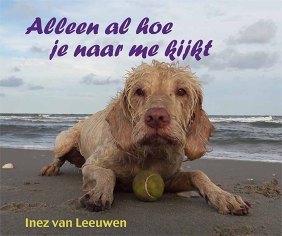 Afbeelding van Alleen al hoe je naar me kijkt