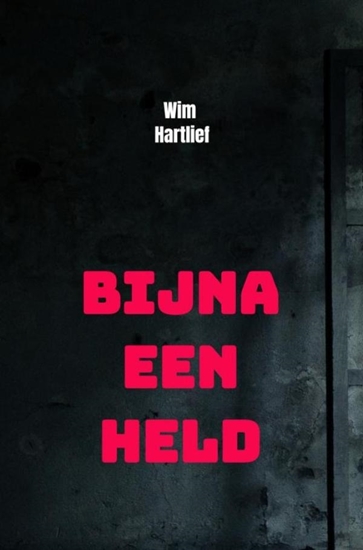 Afbeelding van Bijna een held