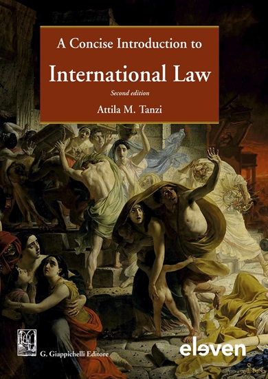 Afbeelding van A Concise Introduction to International Law